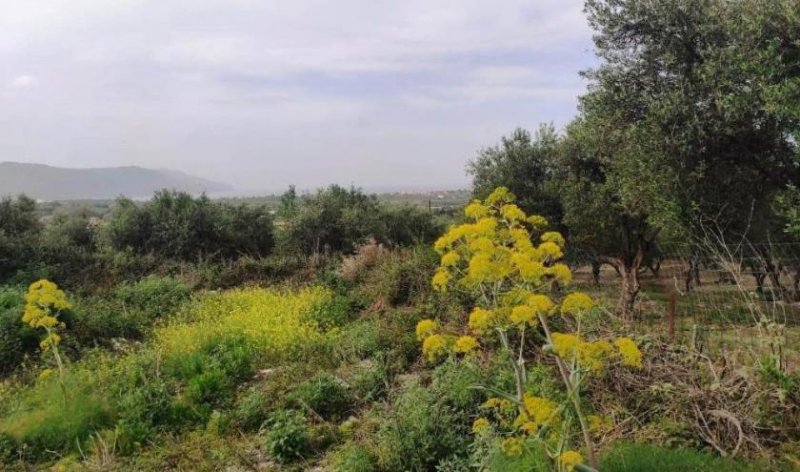 Kavallos Kreta, Kavallos: Grundstück mit Meerblick zu verkaufen Grundstück kaufen